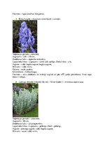 Konspekts 'Krāšņumaugi', 3.