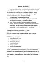 Referāts 'Mobilā mārketinga attīstība Latvijā', 4.