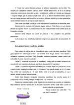 Referāts 'Likteņdārzs Koknesē', 19.