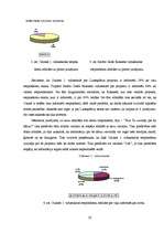 Referāts 'Likteņdārzs Koknesē', 20.