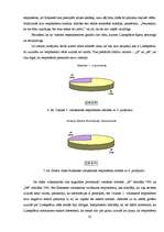 Referāts 'Likteņdārzs Koknesē', 22.