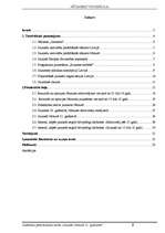 Referāts 'Jaunieši 21.gadsimtā', 2.