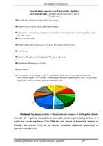 Referāts 'Jaunieši 21.gadsimtā', 30.