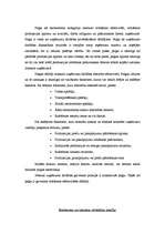 Referāts 'Uzņēmuma X darbības efektivitātes rādītāji un to analīze', 6.