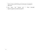 Referāts 'Klusuma spirāles teorija', 13.