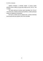 Biznesa plāns 'Biznesa plāns', 16.