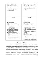 Biznesa plāns 'Uzņēmuma izveides projekts', 7.