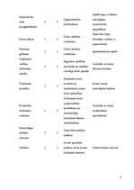 Biznesa plāns 'Uzņēmuma izveides projekts', 9.