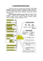 Referāts 'Efektīva sporta stunda C līmeņa klasēs', 5.