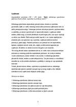 Prakses atskaite 'Mārketinga prakses atskaite', 8.