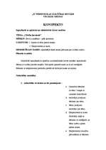 Konspekts 'Iepazīšanās ar apkārtni un sabiedriskās dzīves norisēm', 1.