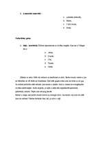 Konspekts 'Iepazīšanās ar apkārtni un sabiedriskās dzīves norisēm', 2.