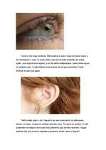 Konspekts 'Iepazīšanās ar apkārtni un sabiedriskās dzīves norisēm', 3.