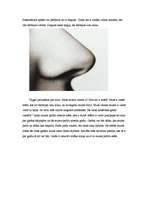 Konspekts 'Iepazīšanās ar apkārtni un sabiedriskās dzīves norisēm', 4.