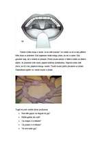 Konspekts 'Iepazīšanās ar apkārtni un sabiedriskās dzīves norisēm', 5.