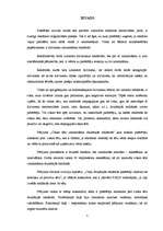 Referāts 'Cūkas tēls drukātajās reklāmās', 5.