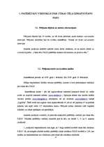 Referāts 'Cūkas tēls drukātajās reklāmās', 37.