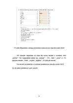 Referāts 'Cūkas tēls drukātajās reklāmās', 47.