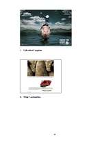 Referāts 'Cūkas tēls drukātajās reklāmās', 66.