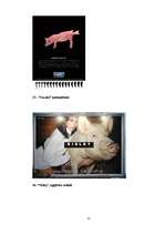 Referāts 'Cūkas tēls drukātajās reklāmās', 71.