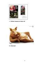 Referāts 'Cūkas tēls drukātajās reklāmās', 73.