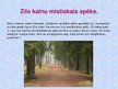 Referāts 'Ogres Zilie kalni – no teikas līdz dabas parkam', 24.