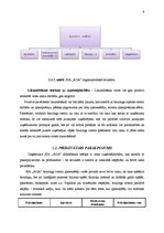 Biznesa plāns 'Boulinga centrs SIA "Aga"', 9.