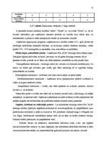 Biznesa plāns 'Boulinga centrs SIA "Aga"', 13.