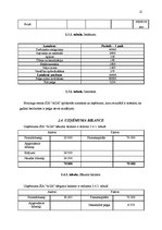 Biznesa plāns 'Boulinga centrs SIA "Aga"', 21.