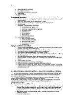 Konspekts 'Elpošanas sistēma', 19.