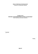 Paraugs 'Katla lietderības koeficienta noteikšana. Aprēķinu darbs', 1.