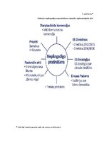 Referāts 'NEPILNGADĪGO PERSONU PRATINĀŠANA KRIMINĀLPROCESĀ', 29.
