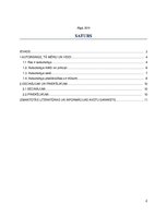 Referāts 'Autsorsings un tā loma mūsdienu biznesā', 2.