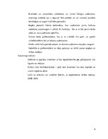 Referāts 'Autsorsings un tā loma mūsdienu biznesā', 9.