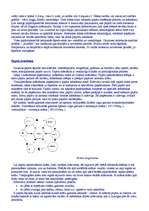 Referāts 'Papīrrūpniecība, poligrāfija', 5.