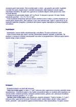 Referāts 'Papīrrūpniecība, poligrāfija', 9.