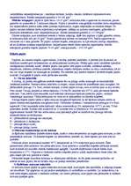 Referāts 'Papīrrūpniecība, poligrāfija', 10.