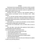 Referāts 'Patēriņa kredīts fiziskām personām', 3.