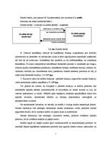 Referāts 'Patēriņa kredīts fiziskām personām', 7.