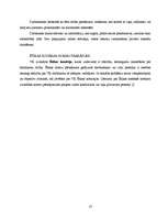 Referāts 'Valsts kontrole', 13.