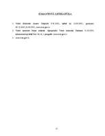 Referāts 'Valsts kontrole', 17.