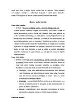 Referāts 'Runas kodu teorija', 4.