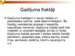 Prezentācija 'Fraktāļi', 14.
