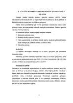 Referāts 'Bīstamo ķīmisko vielu noplūde Ventspilī', 7.