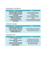 Paraugs 'Rīgas Tehniskās universitātes PEST analīze', 4.