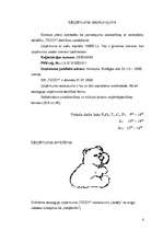 Biznesa plāns 'SIA "Teddy"', 4.