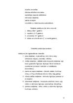 Biznesa plāns 'SIA "Teddy"', 10.