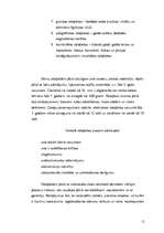 Biznesa plāns 'SIA "Teddy"', 11.