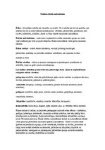 Konspekts 'Skolēnu ētiskā audzināšana', 1.