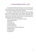 Referāts 'Līzinga operāciju pilnveidošana', 4.